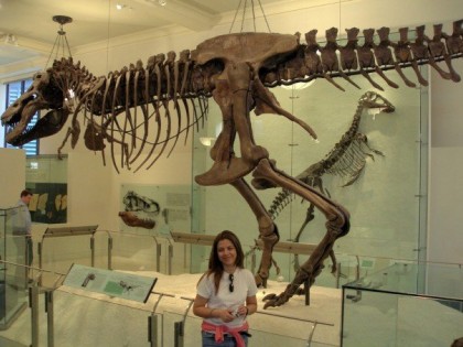 Travel in 2012. T-Rex at the American Museum of Natural History in New York.