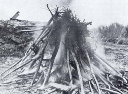 The original 1910 gift of 2000 cherry trees from Tokyo had to be burned after they were discovered to be infested with agricultural pests and disease. Photo: Wikipedia.